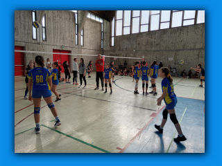 Volley.S3.Gerenzano.25.02.2024 (40).jpg